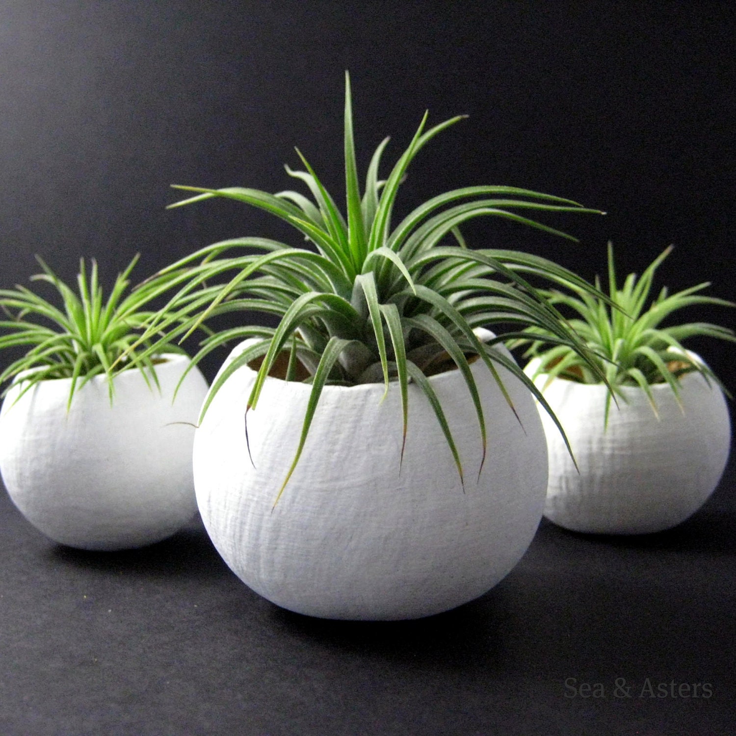 Mini Air Plant Container Pods Set of Three - White Plant Vessel // Planter // Home Decor // Terrarium