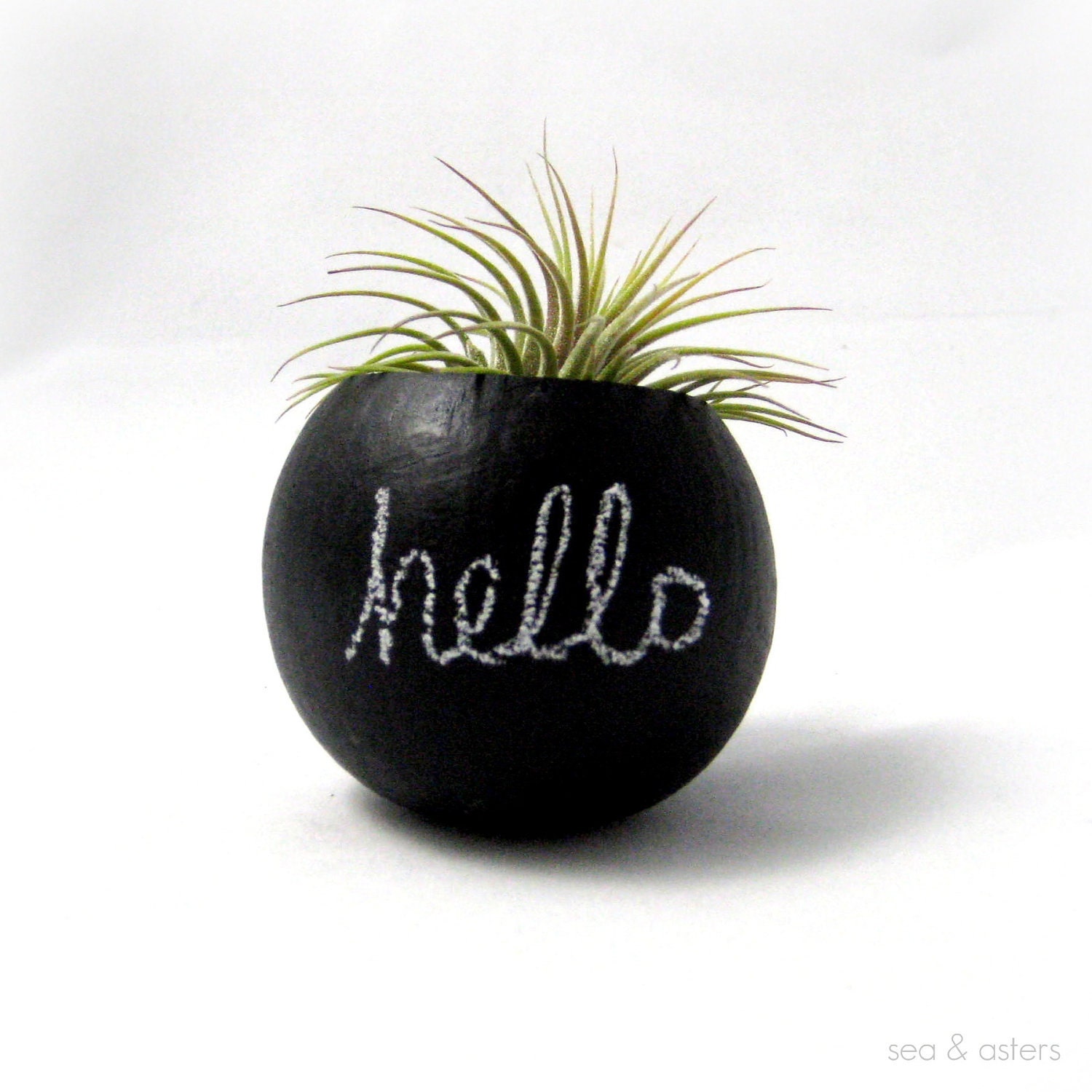 Mini Air Plant Container Pod - Hello Chalkboard // Black // Home Decor