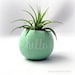 Mini Air Plant Container Pod - Hello Chalkboard // Mint // Planter // Living Home Decor // Gifts Under 20