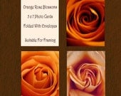 SPRING CARDS Orange Rose Blossoms Photo Cards, Set of Three 5 x 7, Folded Cards, Blank Inside, With Envelopes