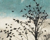 Art Print Etching, February Visit, Doves Fly Away - 88editions