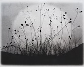 Moonrise, Charmed Meadow solarplate etching on handmade paper - 88editions