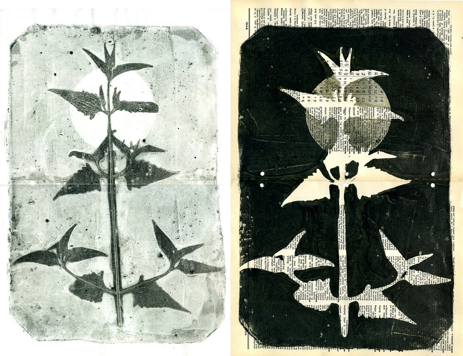ooak Monotypes: pair of Botanical Silhouettes on Vintage Dictionary Sheets and Rice paper - 88editions
