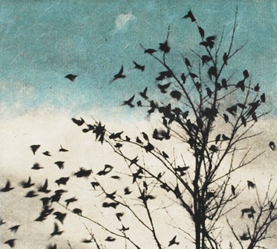 Art Print Etching, February Visit, Doves Fly Away