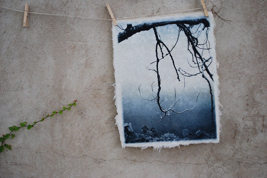 Branch Silhouette, etching on handmade paper