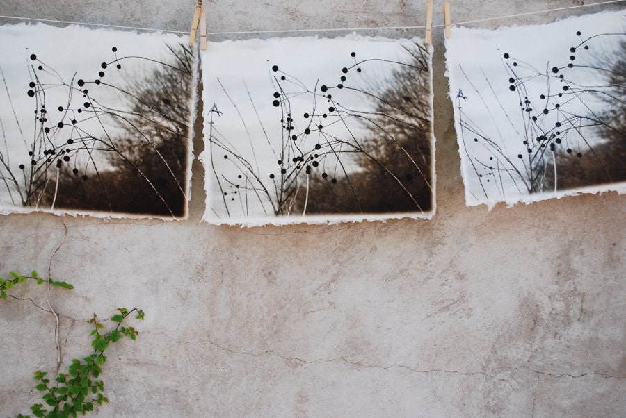 art print etchings on handmade paper