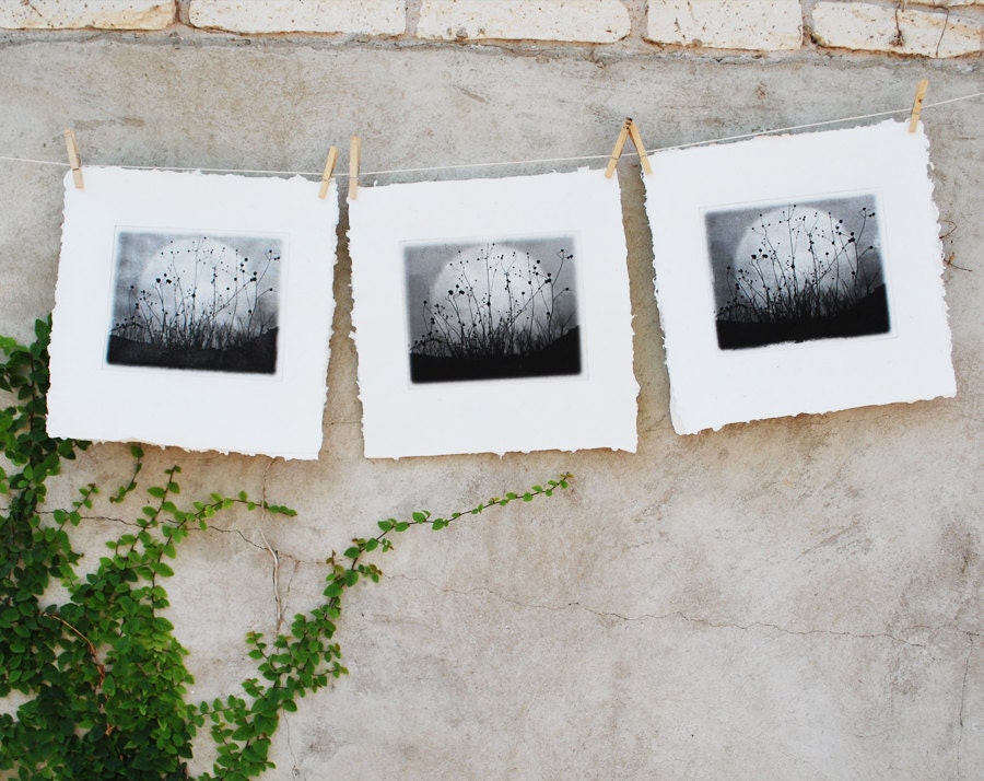 etching, Moonrise, Charmed Meadow solarplate etching on handmade paper