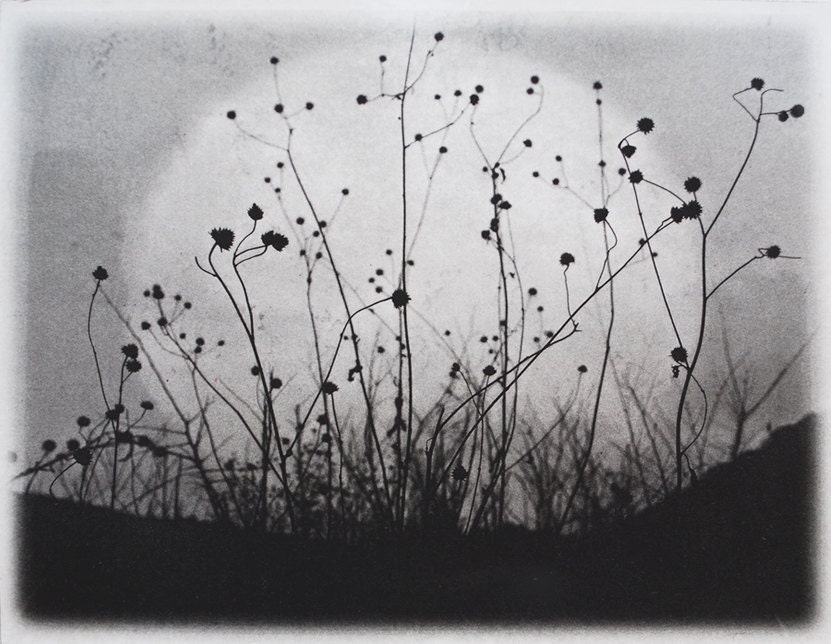 Etching, Moonrise, Charmed Meadow solarplate etching on handmade paper