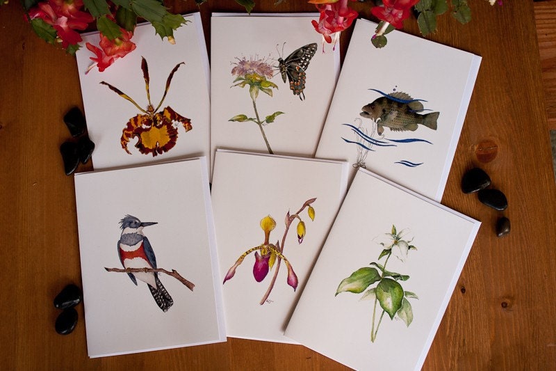 Nature Notecards - Watercolor Prints