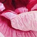 Pink Hibiscus, Barbara Rosenzweig, Fine Art Print, Etsy, Fuscia Floral Reproduction of Original Watercolor Painting