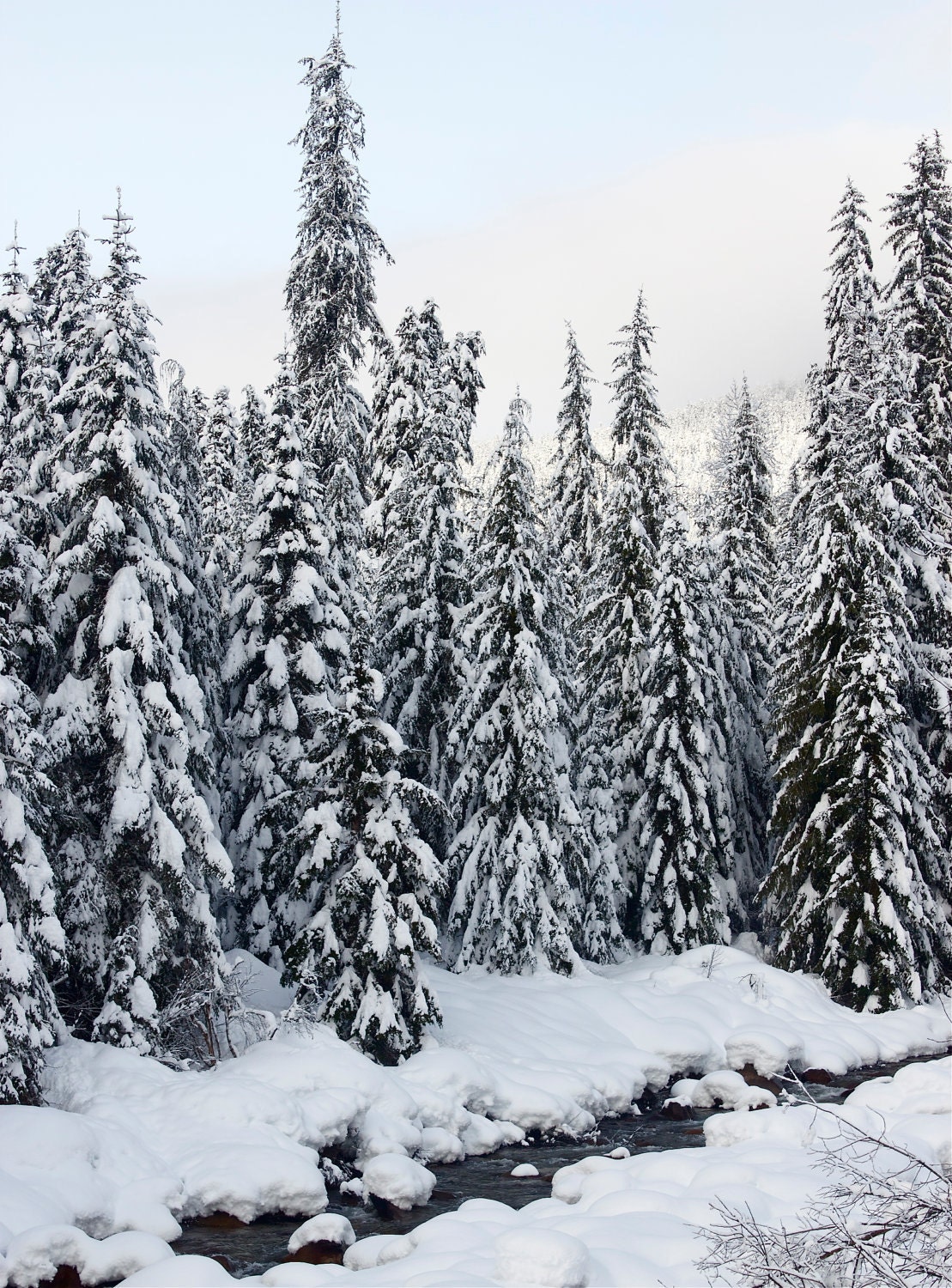Fine Art Photography, Winter Scenic Photo Art Print,  "Winter Snow Scene  " - Photomom101