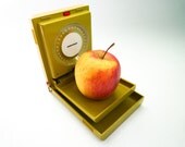 Vintage Kitchen Scale Sohenle Small 70s Wall Hanging Green