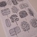 So Many Trees, So Little Time, limited edition giclee print