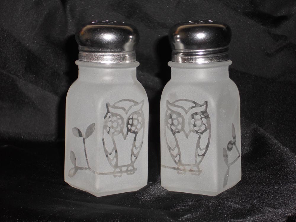 Owl Salt and Pepper Shakers Etched Glass