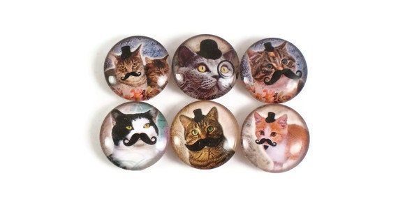 Magnets, More Cats with Mustaches, Set of  Six