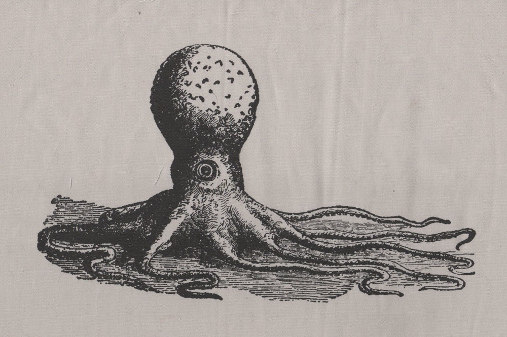 Large Octopus Patch