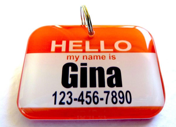 Dog Tag Pet Tag Cat Tag Name Tag Helly My Name is by ID4Pet