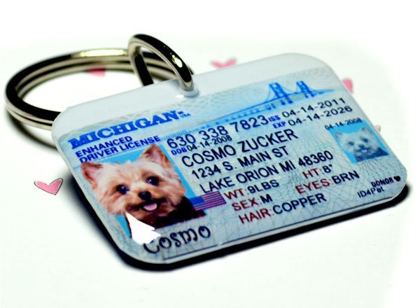 Dog Tag Cat Pet Tag Pet ID Tags Michigan Driver License by ID4Pet