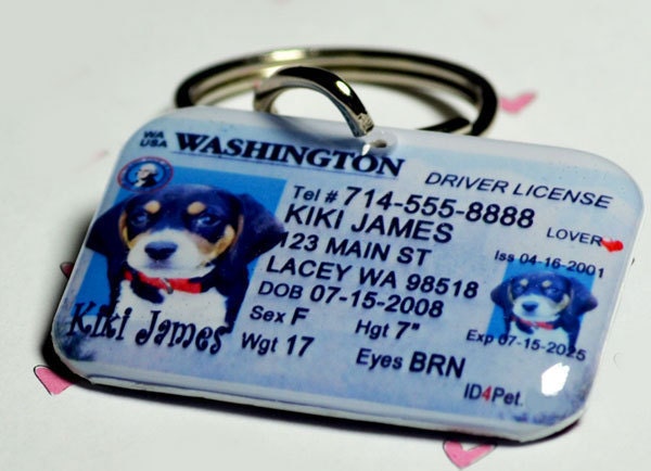 Custom Pet ID Tag Washington Driver License by ID4Pet - double sided with your pet info/photo