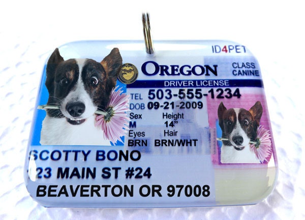 Oregon Driver License Pet Tag Dog Tag Cat tag by ID4Pet