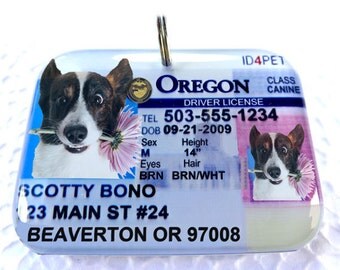 Oregon Driver License Pet Tag Dog Tag Cat tag by ID4Pet
