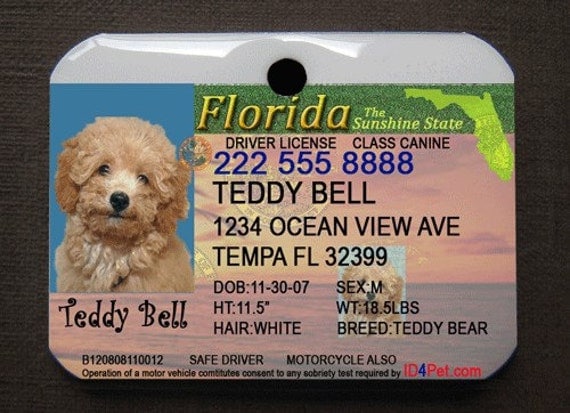 Dog Tags - Florida Driver License Pet ID Tags