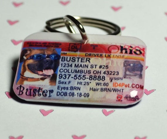 Dog Tags - Florida Driver License Pet ID Tags