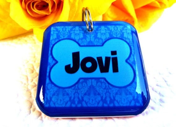Dog Tags Pet ID Tags Cat Tag  bollywood blue saree by ID4Pet