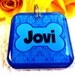 Dog Tags Pet ID Tags Cat Tag  bollywood blue saree by ID4Pet