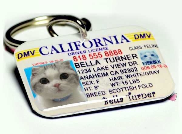 Dog Tag Pet Tag Custom Name Tag California Driver License by ID4Pet