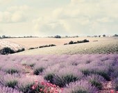 Lavender field and rolling hills - 8x8 or 8x10 or 8x12 - Provence South of France landscape fine art photograph print