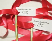 Wedding Ribbon Wands - Customized in your colors - With Customized Tags - Hot Pink and Aqua