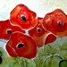 Upcycled Soda Pop Can Poppies Wall Art