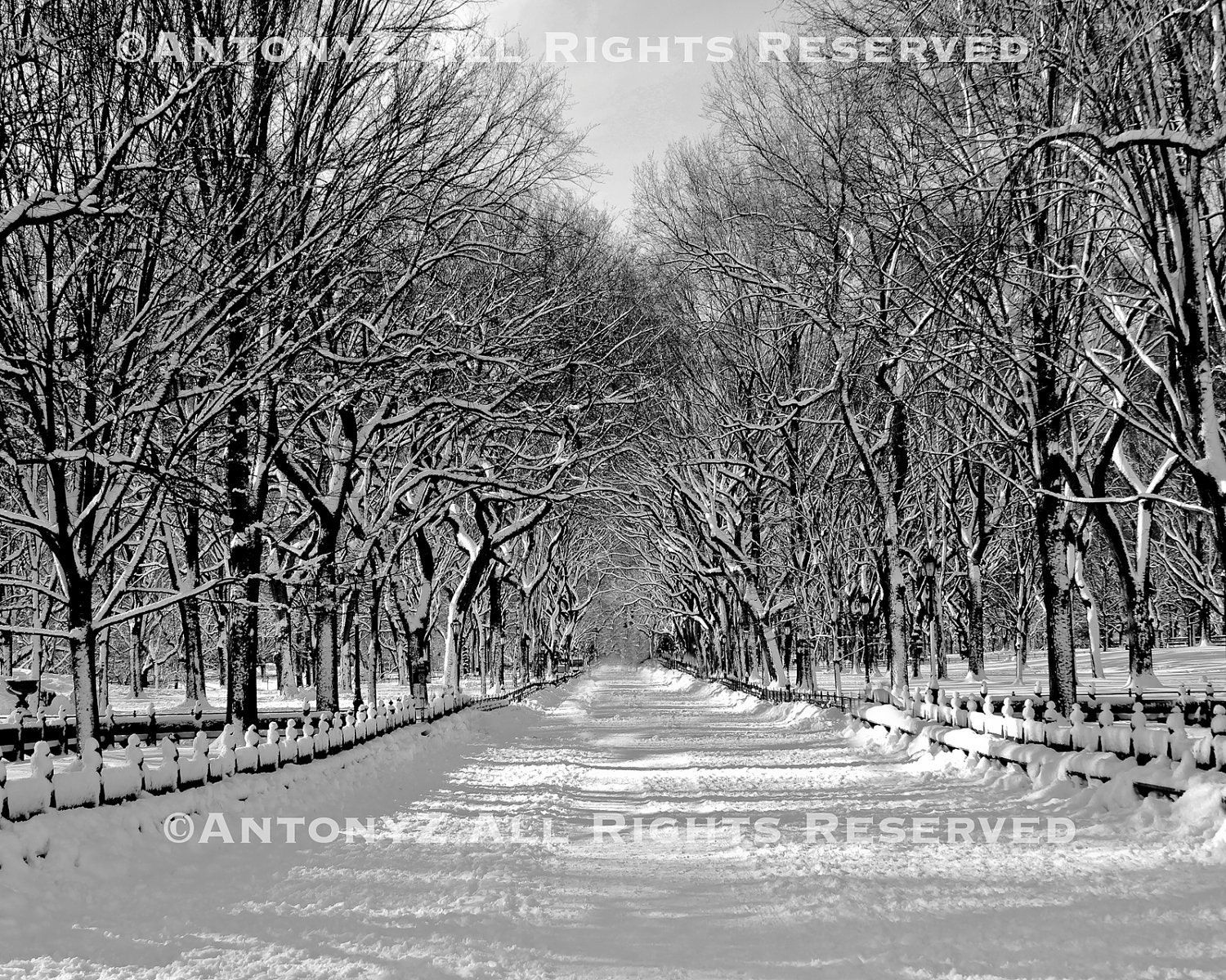 Snowy Day In Central Park, New York City 8x10 Black and White Print