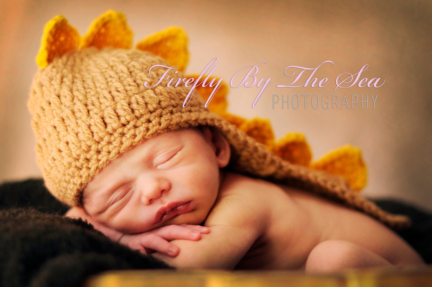 Great Crochet Hat for Photo Prop Is is a Dragon Is it a Dinosaur