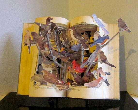 Altered Book Autopsy "Birds of A Feather"