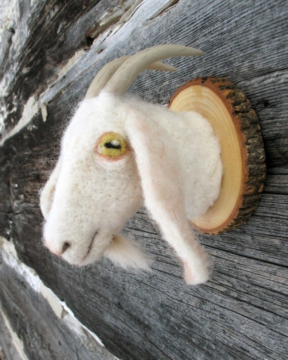 Miniature goat torso