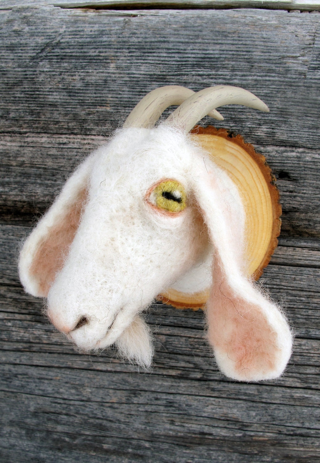Miniature goat torso