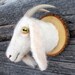 Miniature goat torso