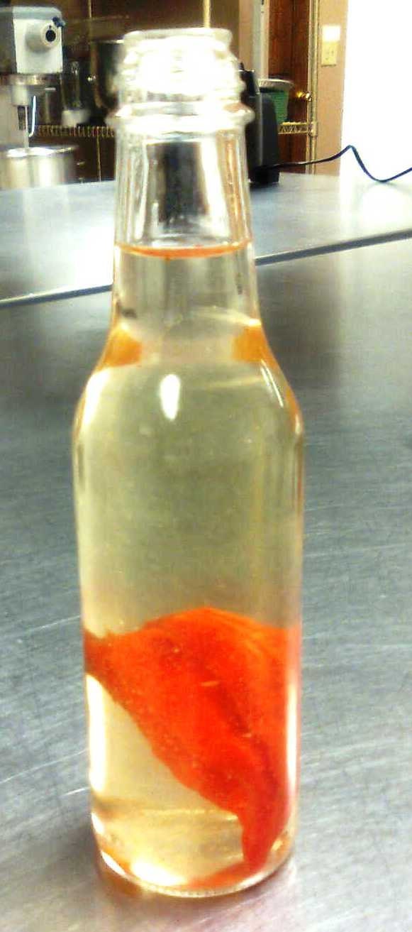 1 "Psalms 22:1 Reserve" Sadistic Mistress Sauces 5oz bottle hot sauce with ghost or jolokia or naga murich peppers