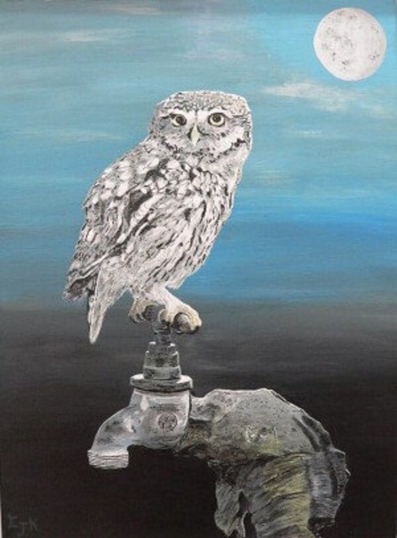 Little Owl on Tap - Eric Kempson