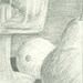 4x6 Funny Fruit Study - Graphite
