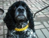 Girl Dog Collar, Dog necklace, Yellow Dog Collar