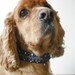 Pink Dog Collar, Elegant Dog Jewelry,  Beaded Dog Collar