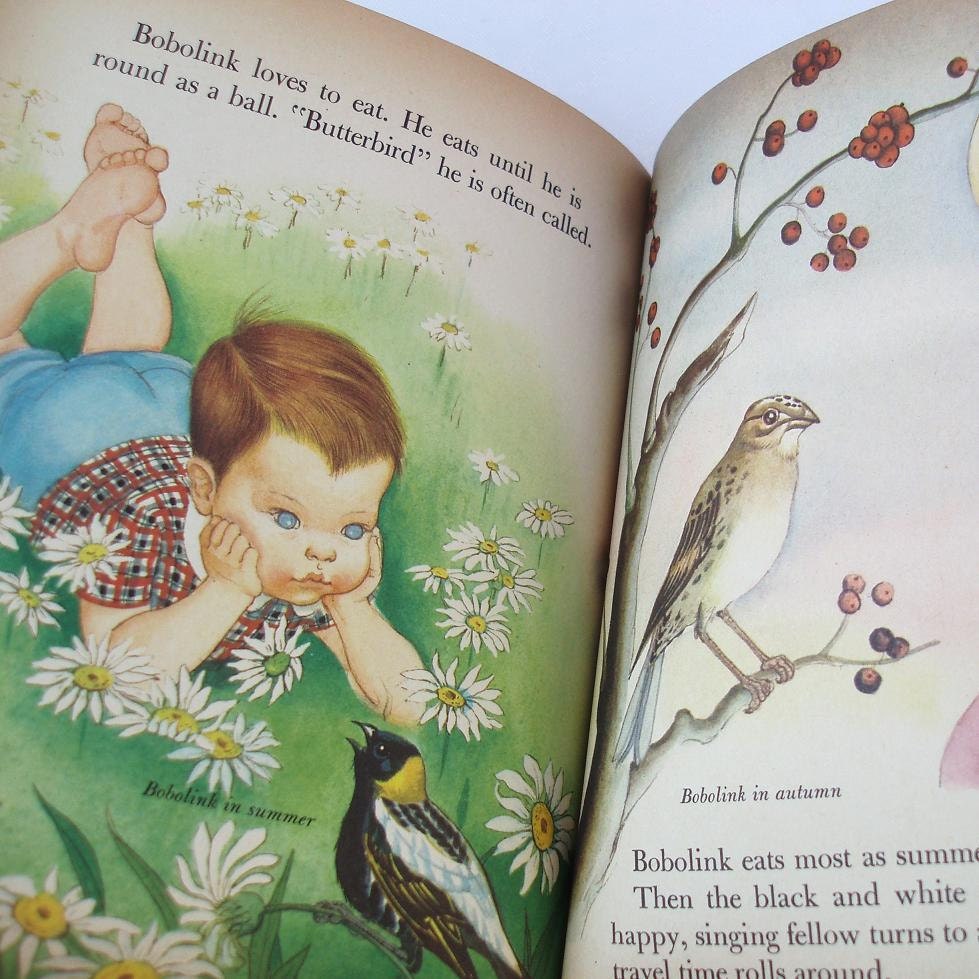 Little Golden Books Kids Reading Books Bird Book for Kids 1958 Childrens Book Reading for Kids