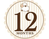 Little Lamb Monthly Onesie Stickers