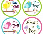 Mama To Be Baby Bump Stickers - NEW Sweet Birds - 16 Stickers (included 4 BONUS Baby Announcement Boy Girl Guess Stickers) - Super Cute
