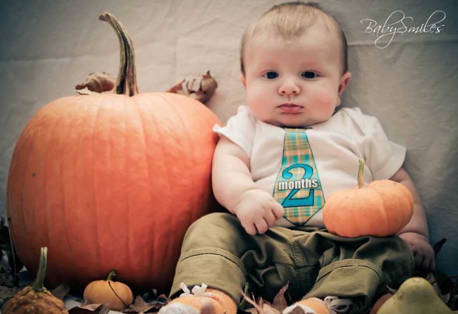 Stylish TIE Monthly Onesie Stickers - Little Plaid Boy - 13 Stickers (Just Born Included) - Different Plaid Pattern Each Month - UNCUT