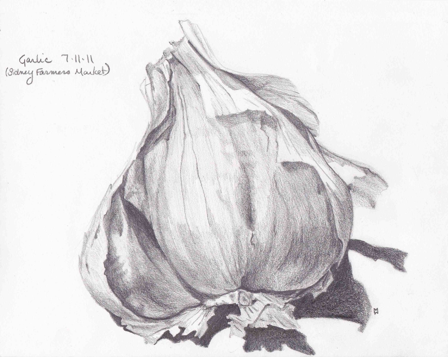 Giclee print "Garlic-Sidney Farmer's Market"