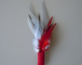 Cat Toy Large Size Red Feather Flier with Catnip and Bell